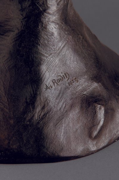 Study for Polyphemus, 1880 cast 1970 (detail) by Auguste Rodin